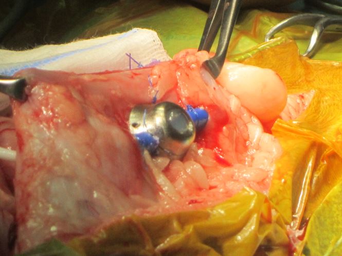 The access port for the SUB